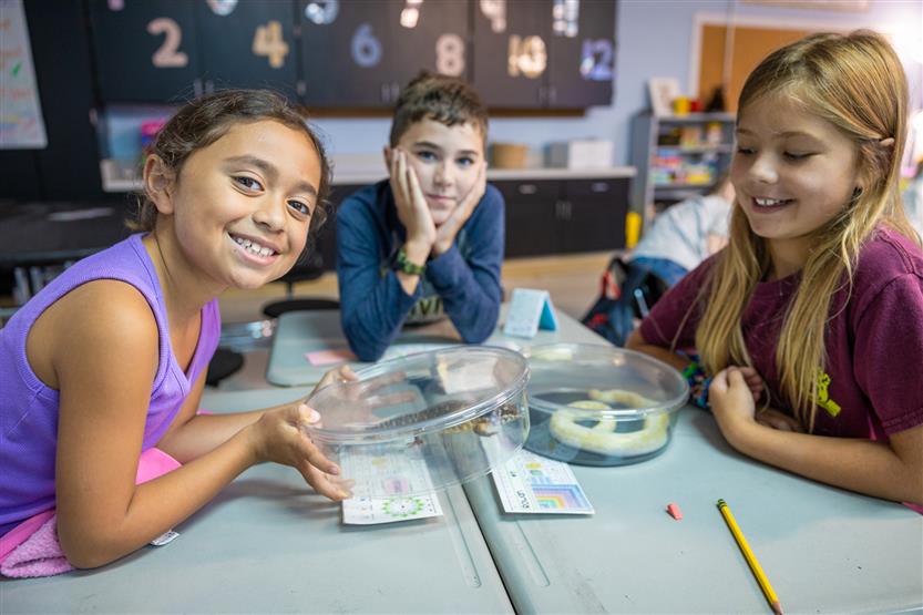 Students study reptiles